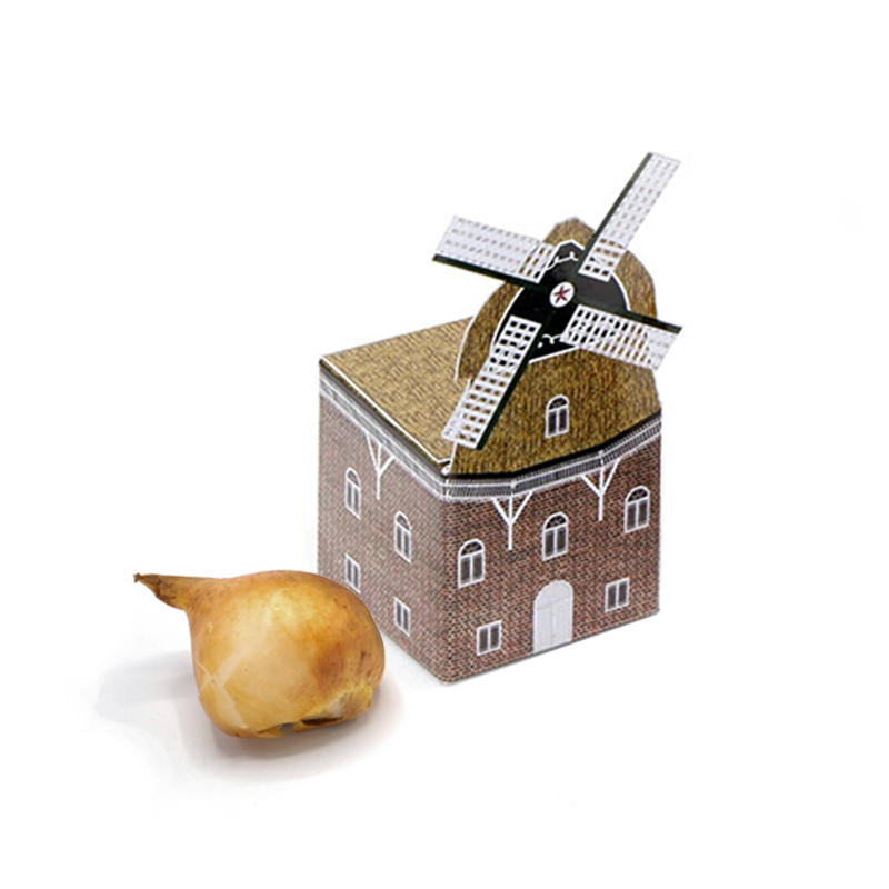 Mini Windmühle mit Blumenzwiebeln